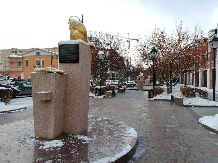 В Тюмени после снегопадов начнутся дожди