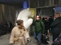 "Пусть завидуют"! В Тюмень прибыл первый зимний чартерный рейс с туристами из Москвы