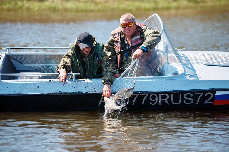 Из озера Круглое в Тюмени вытащили более 40 брошенных сетей