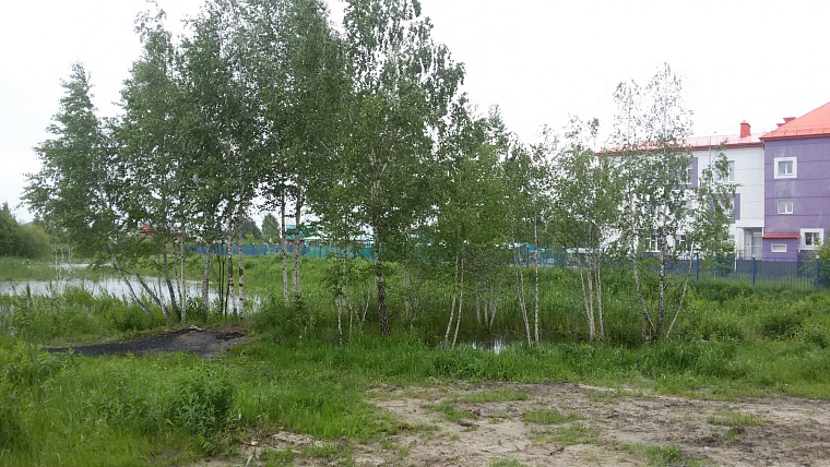 Обновленный сквер Никольский украсил Восточный округ Тюмени