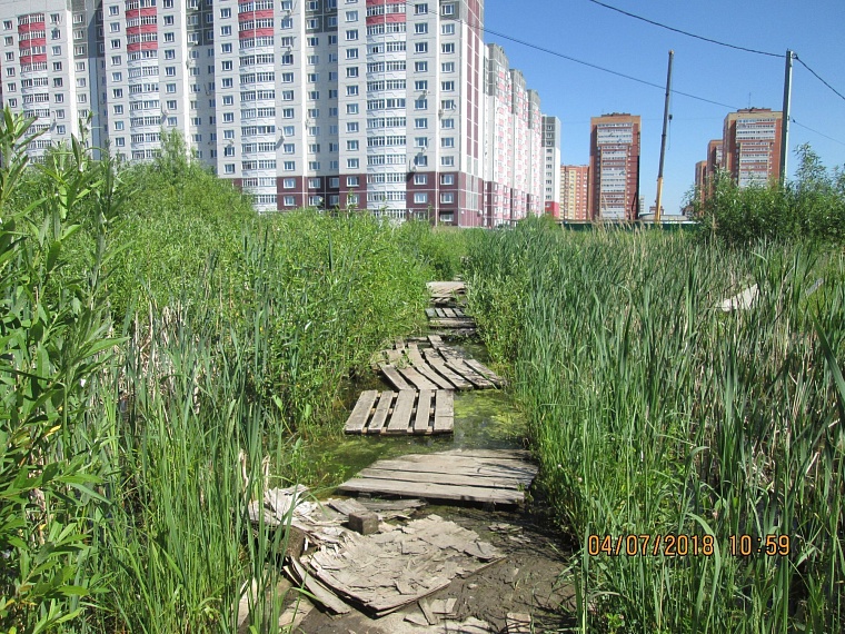 Обновленный сквер Никольский украсил Восточный округ Тюмени