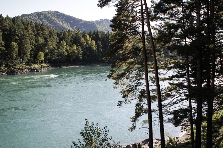 Не попасться на удочку мошенникам. Как безопасно и недорого съездить в отпуск