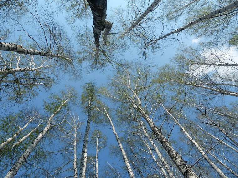 Ползучий апокалипсис отменяется
