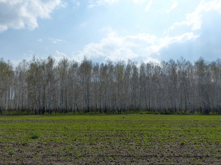 Ползучий апокалипсис отменяется