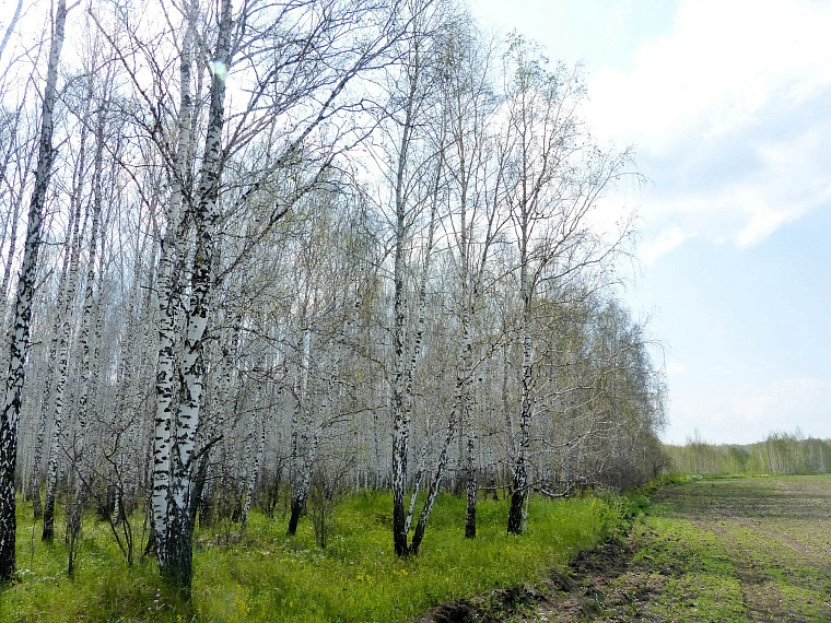 Ползучий апокалипсис отменяется