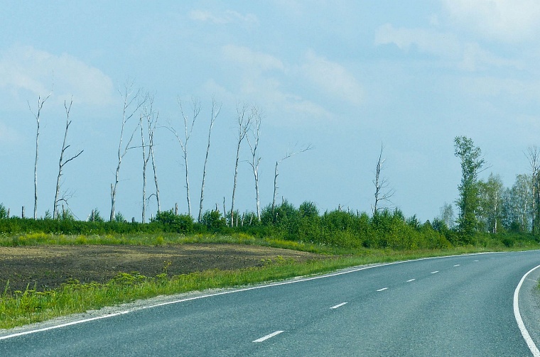 Ползучий апокалипсис отменяется