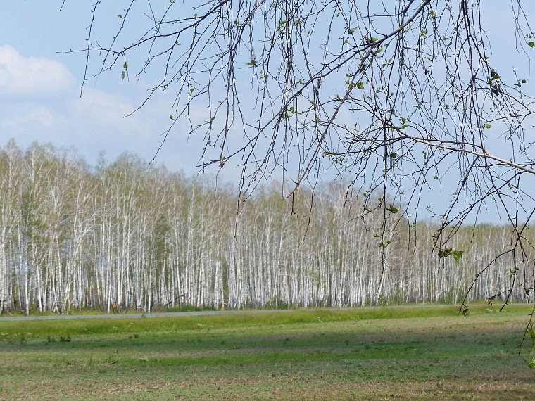 Ползучий апокалипсис отменяется