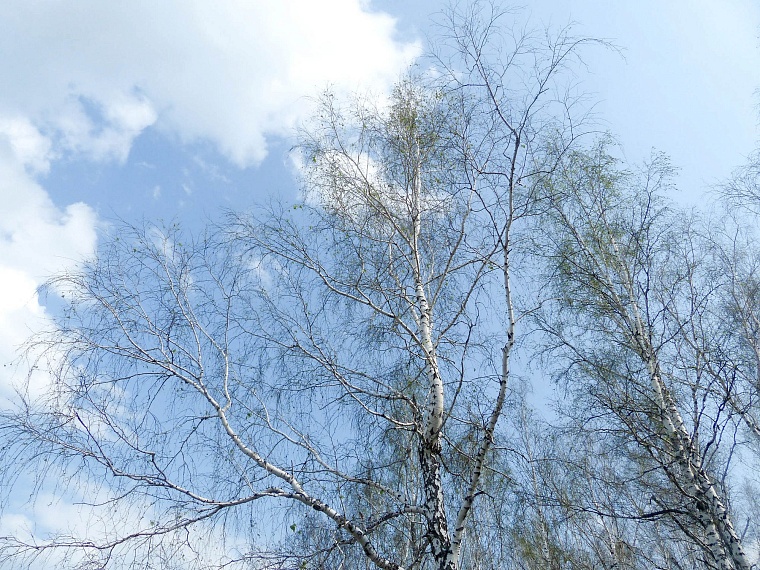 Ползучий апокалипсис отменяется