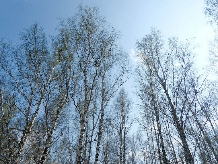 Ползучий апокалипсис отменяется