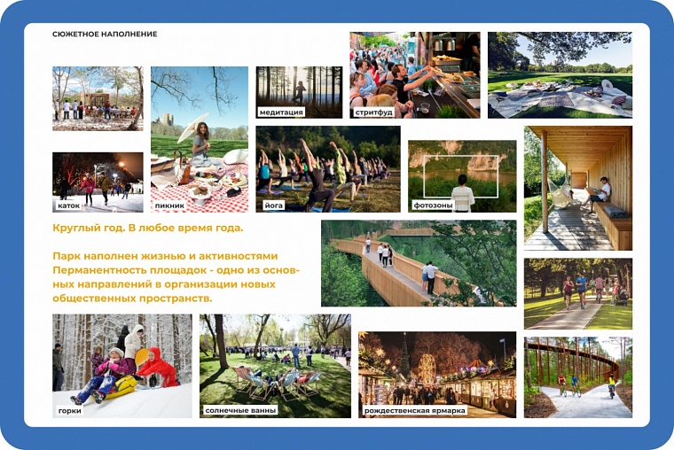 Парящий мост, пространство для фестивалей, веревочный парк – в Тюмени появится новый лесопарк