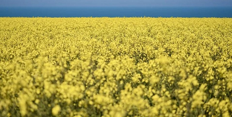 Фото: pixabay.com