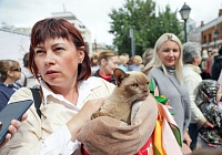 В Тюмени состоялся парад мокрых котиков