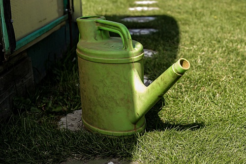 Какие работы нужно провести на даче в апреле