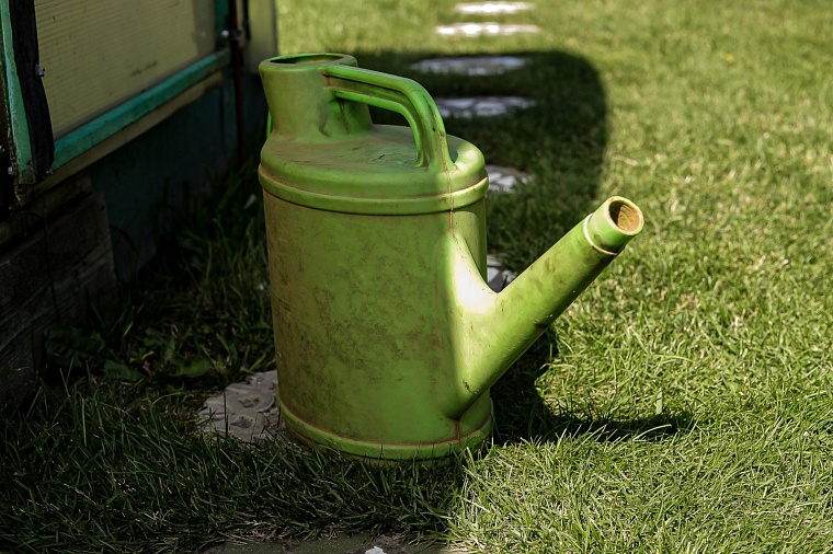 Какие работы нужно провести на даче в апреле