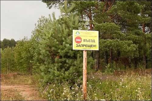 Из леса выдворено уже 15 человек