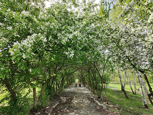 В Тюменской области за девять лет ликвидировали больше 600 незаконных свалок