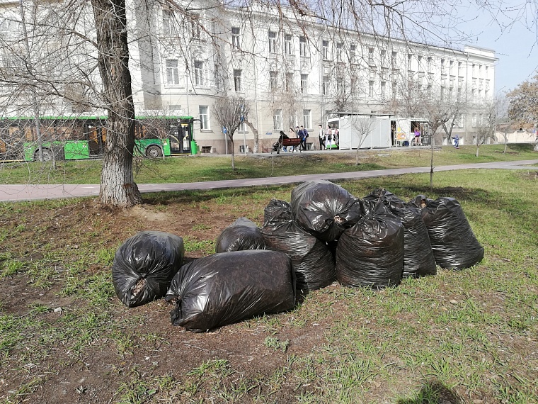 В Тюмени определены даты проведения городских субботников в 2023 году