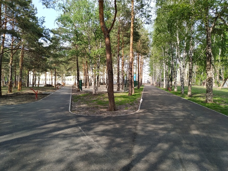 В тюменском сквере Школьный, несмотря на масштабную реконструкцию, продолжают петь соловьи