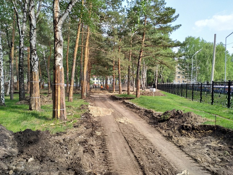 В тюменском сквере Школьный, несмотря на масштабную реконструкцию, продолжают петь соловьи