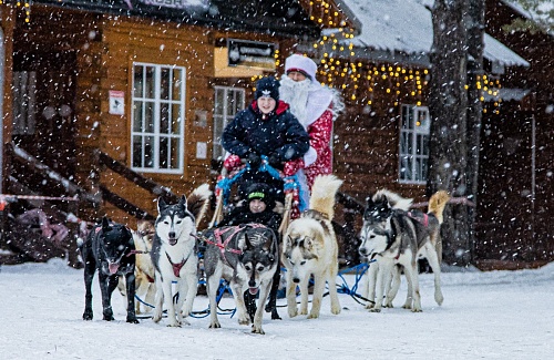 За поддержку бойцов СВО двух тюменских школьников прокатили на новогодней собачьей упряжке
