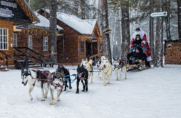 За поддержку бойцов СВО двух тюменских школьников прокатили на новогодней собачьей упряжке