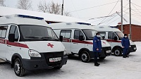 Областная больница в Голышманово получила семь новых скорых
