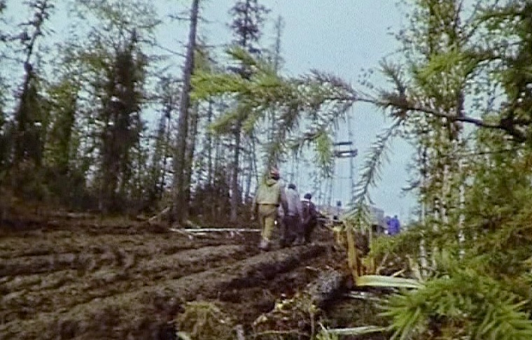 Как в Тюменской области начиналась эпоха телевидения