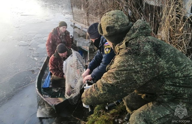 На замерзшем пруду по Велижанскому тракту тюменцы спасли лебедя