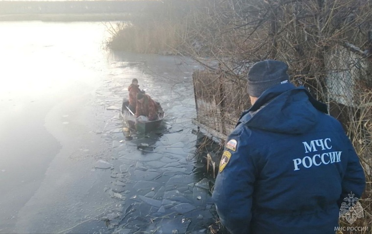 На замерзшем пруду по Велижанскому тракту тюменцы спасли лебедя