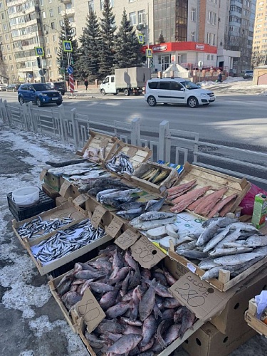 В Тюмени с уличных прилавков за неделю изъяли 190 кг рыбы