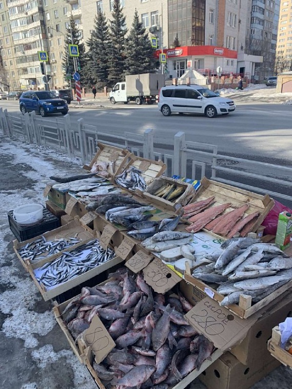 В Тюмени с уличных прилавков за неделю изъяли 190 кг рыбы