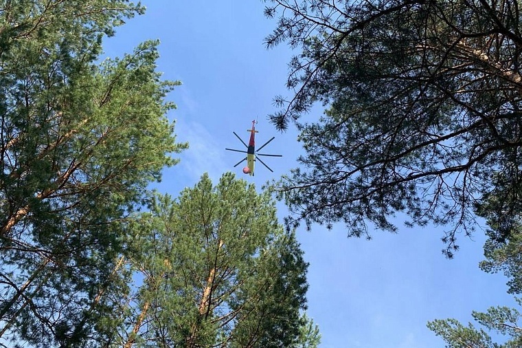 Рослесхоз признал Тюменскую область готовой к пожароопасному сезону