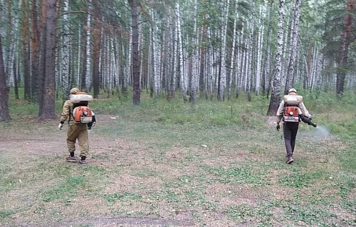 В Тюмени улучшилось качество противоклещевой обработки