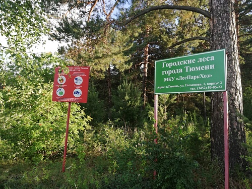 Рослесхоз прогнозирует наибольший риск лесных пожаров в Тюменской области в мае и июне