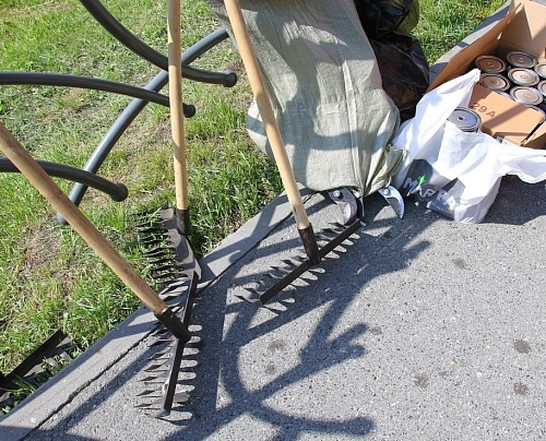 Перед Днем города в Тюмени пройдет традиционный субботник