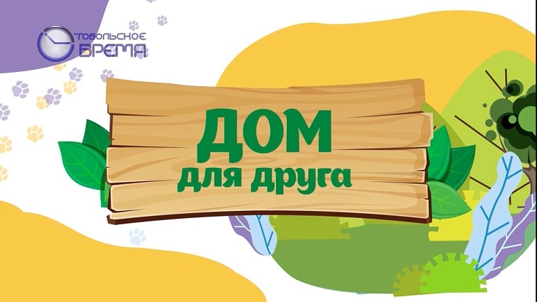 Телекомпания «Тобольское время» запускает новый проект «Дом для друга»