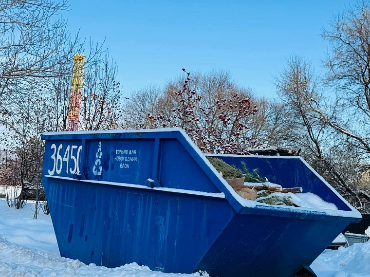 Тюменцев приглашают сдать новогодние елки на переработку в экодомах
