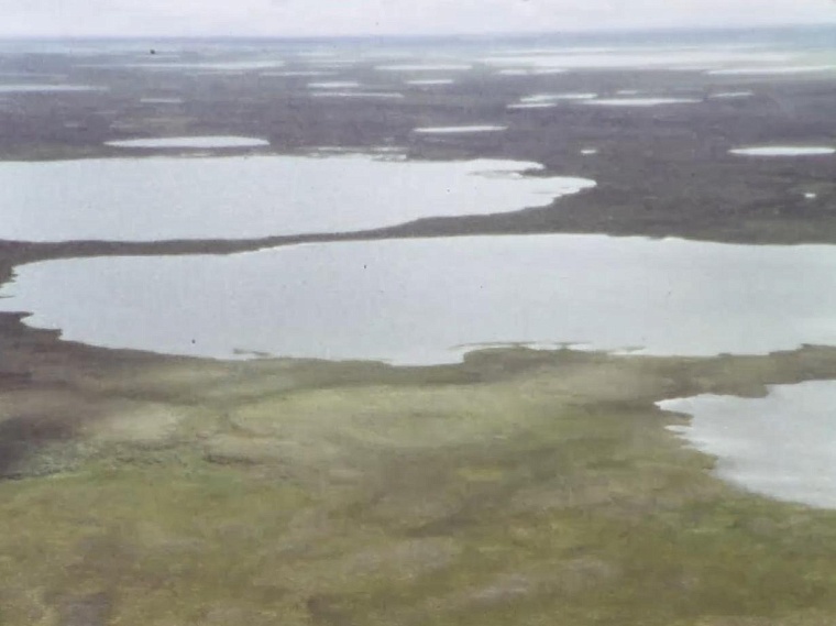 Как советские мегапроекты обошли Тюменскую область стороной