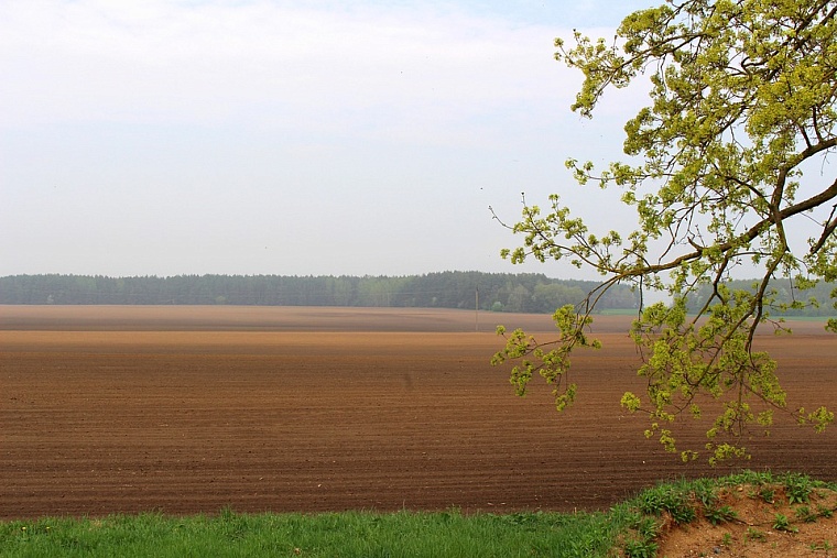 Фото: pixabay.com