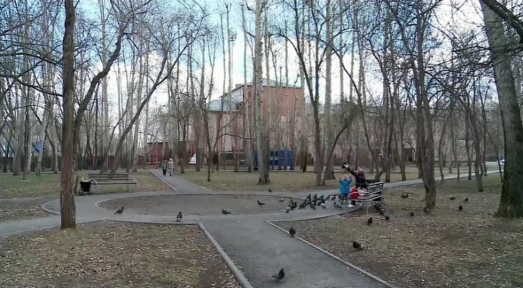 Дизайн-проекты благоустройства, за которые началось голосование, разрабатывали совместно с тюменцами