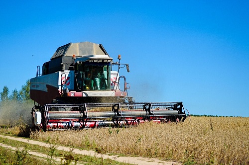 Аномальная жара не помешала вовремя закончить в Тюменском районе посевную