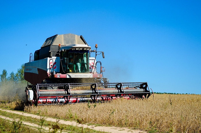 Аномальная жара не помешала вовремя закончить в Тюменском районе посевную