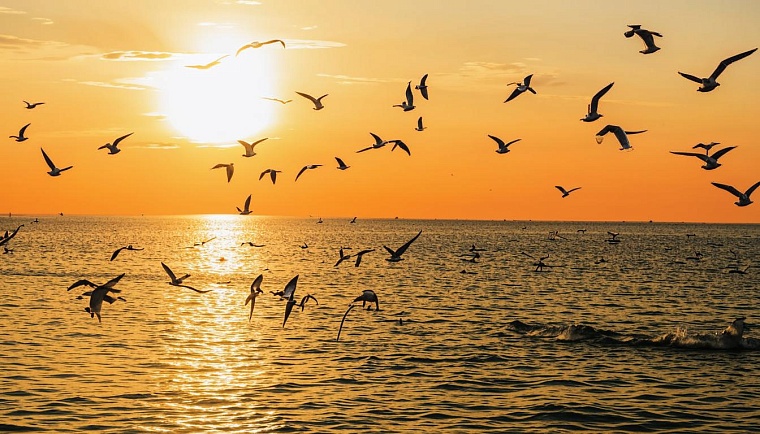 Картинка сгенерирована ИИ