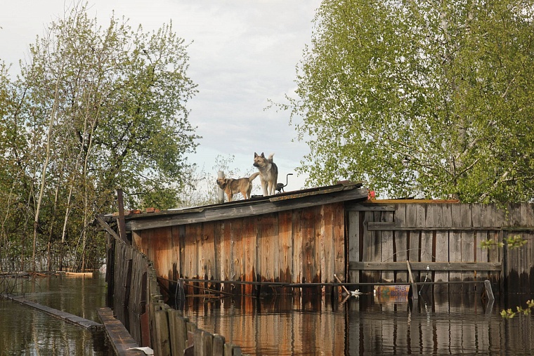 Улица Томская на Тайване ушла под воду