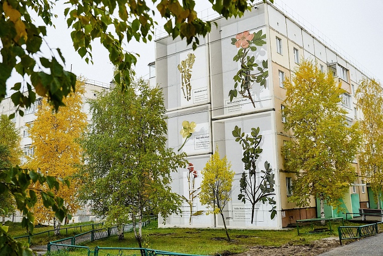 Конкурс-проект «Гранат» доказал: тюменскому кино быть