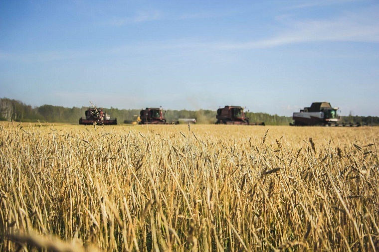 В Госдуме предложили позволить сельским жительницам накапливать выходные дни
