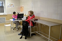 В Тюмени открылся второй филиал городской ветеринарной лечебницы