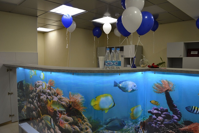 В Тюмени открылся второй филиал городской ветеринарной лечебницы