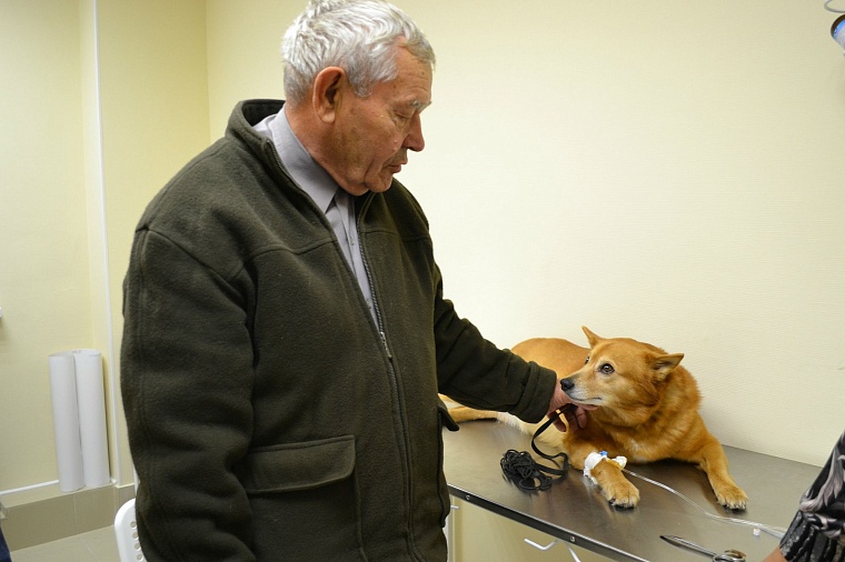 В Тюмени открылся второй филиал городской ветеринарной лечебницы