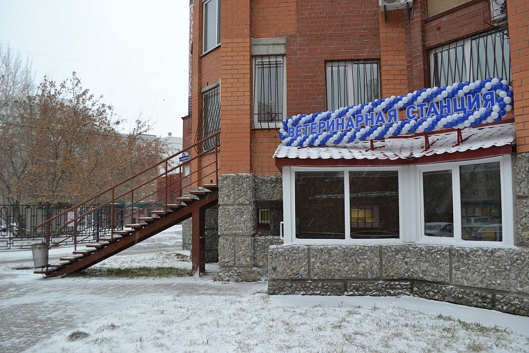В Тюмени открылся второй филиал городской ветеринарной лечебницы